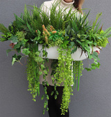 Big Laos Suculentano, kompozycja sukulenty w długiej donicy, wys.40x70cm