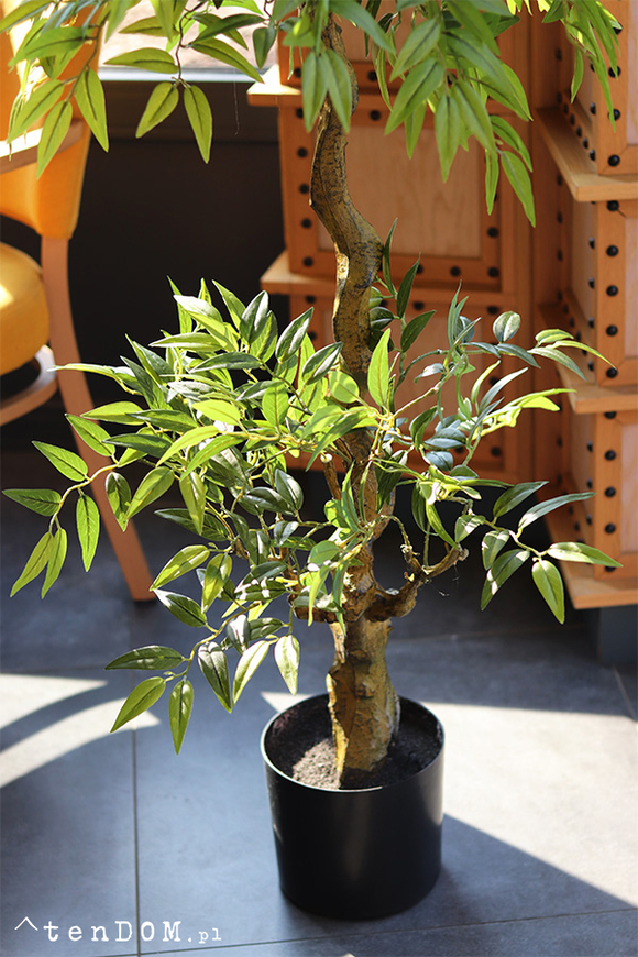 Fikus, sztuczna roślina w doniczce