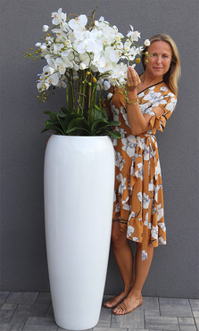 Premium Orchid, elegancki storczyk w wysokiej donicy, wys.175cm  