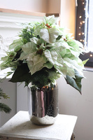 Gwiazda Betlejemska Kreona Biel, kompozycja świąteczna