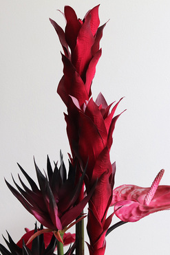 OD RĘKI Yorker, kompozycja kwiatowa z bromelia i proteą, wym.77x50cm