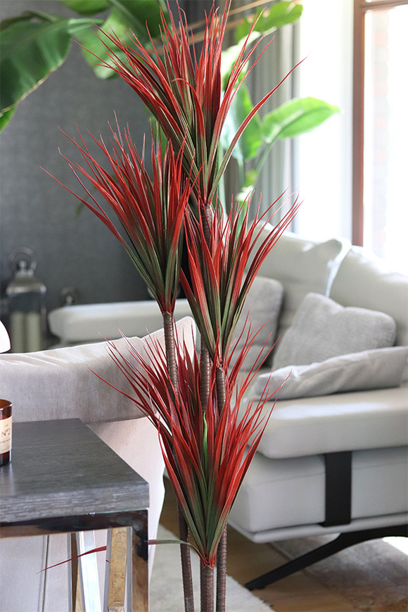 Dracena Ruda, wysokiej jakości sztuczna roślina