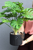 Monstera Black Moment, drzewko sztuczne w donicy