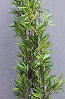 Bambus, sztuczna roślina w donicy