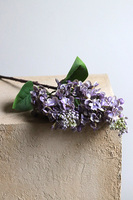 Bzy Royal, gumowy bez kwitnący lilak