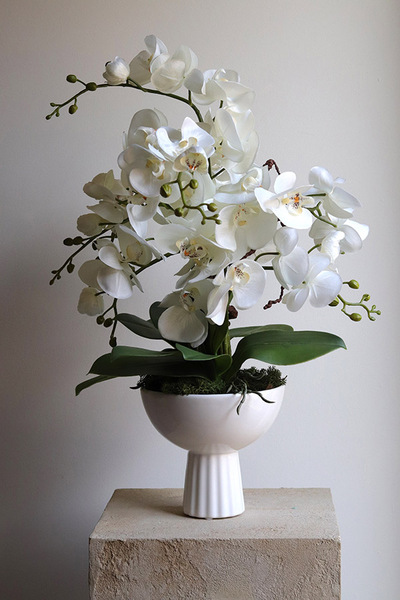 Leori, sztuczny storczyk w pucharze