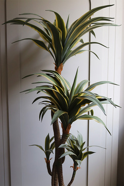 Dracena Warneckiego, wysokiej jakości sztuczna roślina, wym.140cm