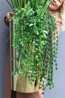 Grass Golderia, wysokiej jakości sztuczna trawa w złotej donicy