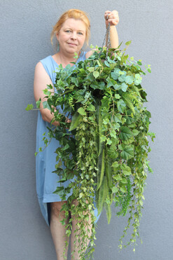 Green Moni, zielona kompozycja wisząca, większa, wym.110x40cm   