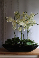 Laos Black Big, sztuczny storczyk w czarnej donicy, wys.65cm