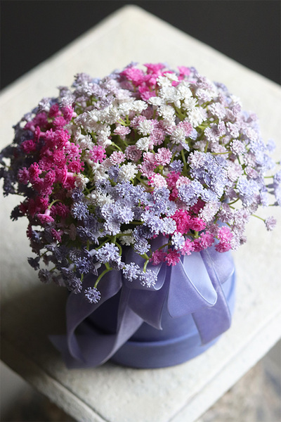 Kaszka Colors, flowerbox kwiatowy welurowy, gipsówka