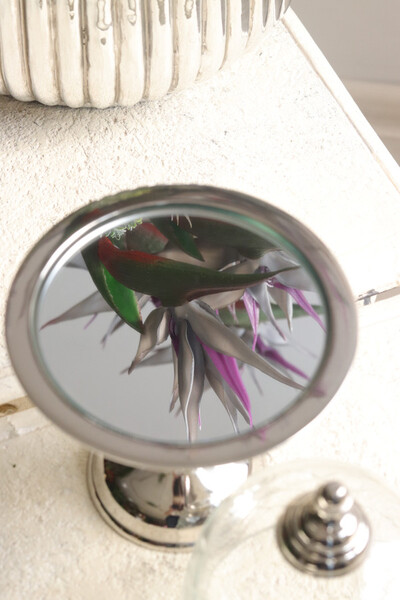 patera na nodze z kloszem, Lux Villa Silver Glamour