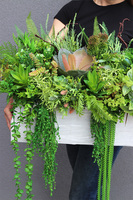 Dalila 5, kompozycja sukulenty do twojej donicy, wym.44x85x35cm