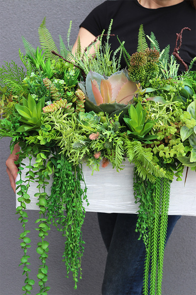 Dalila 5, kompozycja sukulenty do twojej donicy, wym.44x85x35cm