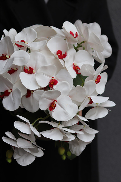 Kreonata, gumowy storczyk w złotej donicy