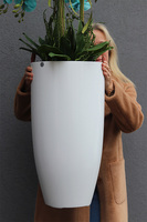 Turkusowy Fiberglass White, storczyk w białej donicy z fiberglass