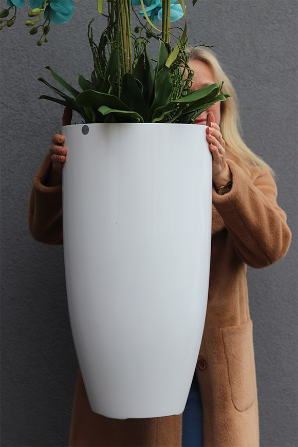 Turkusowy Fiberglass White, storczyk w białej donicy z fiberglass