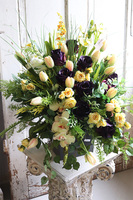 kompozycja nagrobna z żółtymi tulipanami, Wiosenna Zorza, wym.73x83cm