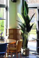 Bananowiec Boho, sztuczna roślina w donicy