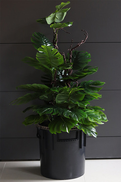 Monstera Saute Big, sztuczna roślina do twojej donicy, wys.82/120cm