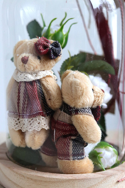 Teddy Red, kompozycja pod szklanym kloszem