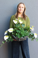 Anturium Volcan White, nowoczesna kompozycja nagrobna