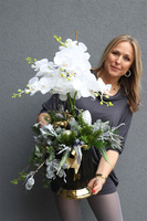 Deluxe Black Winter, elegancki storczyk zimowy w pucharze LED