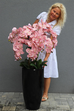 bardzo duży storczyk Pudrovy Fiberglass Grande Black, wys.120cm 