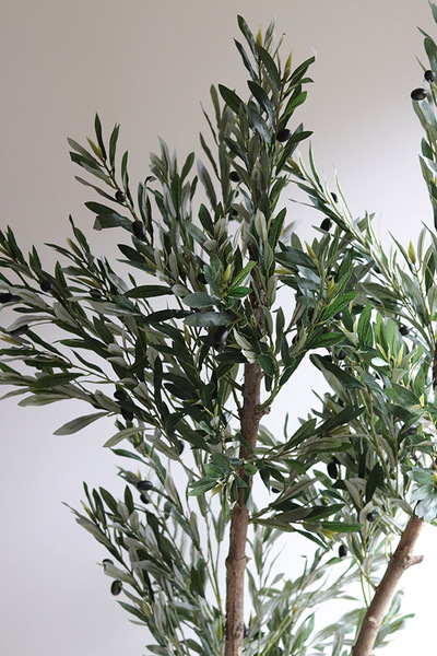 Oliwka Basket, sztuczne drzewko w koszu