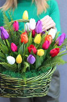 Tulipanowo Mi, kompozycja z tulipanów w koszyku