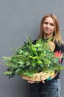 Green Days, stroik nagrobny na drewnie