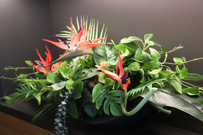 Strelicja Moko Jungle, dekoracja kwiatowa do wnęki