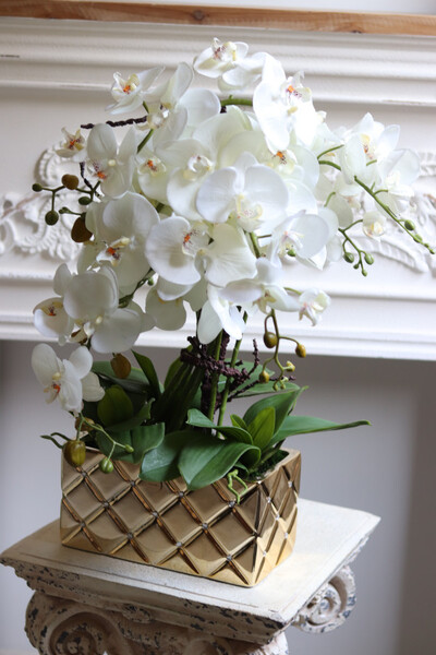 Diamondo Gold, storczyk w złotej donicy wysadzanej kryształami