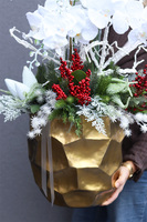 Zimowa Kraina Deluxe, elegancki storczyk zimowy