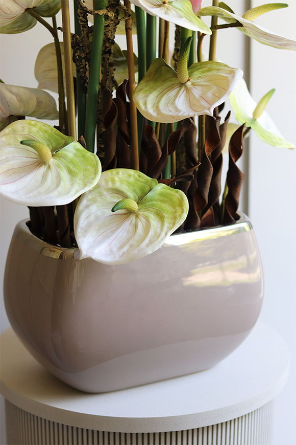 Kalia & Anturium, nowoczesna kompozycja w beżowej donicy