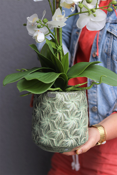 Nedila 2, sztuczny storczyk w zielonej osłonce