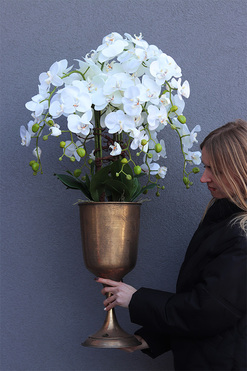 Złoty Dom, duży storczyk w pucharze, wys.104cm 
