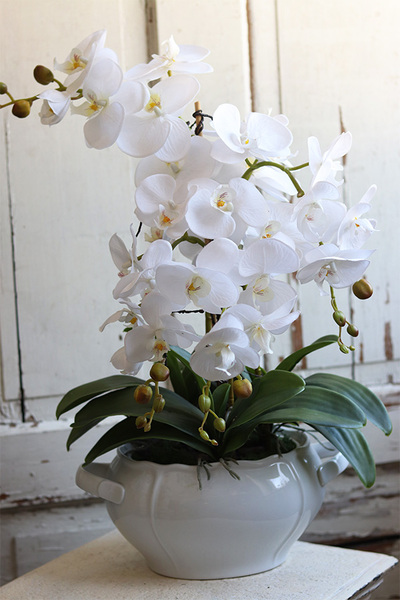 biały storczyk w wazie porcelanowej, Vaseno, wys.64cm 