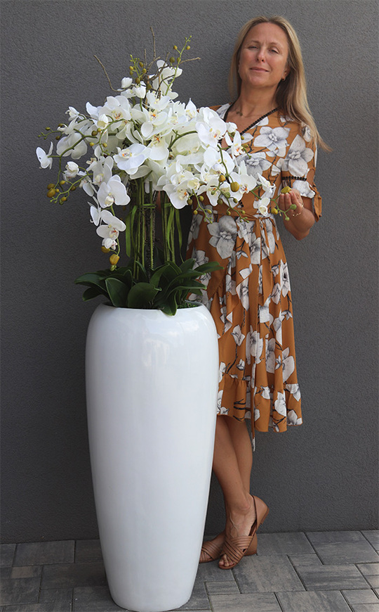 Premium Orchid, elegancki storczyk w wysokiej donicy, wys.154cm