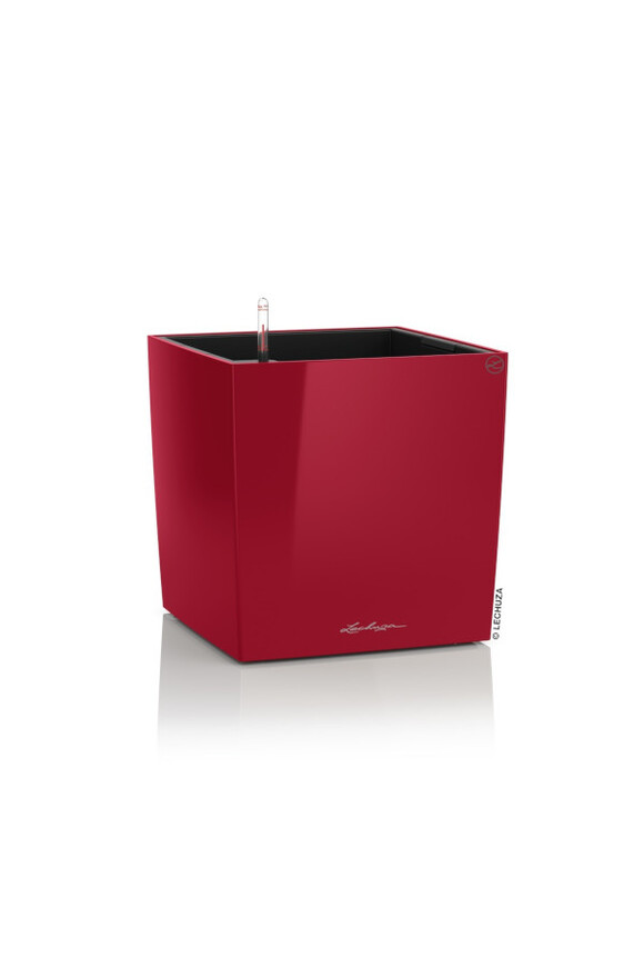 Cube Premium, doniczka z nawadnianiem, czerwony