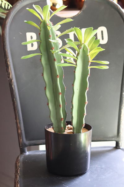 Monico, kaktus, wysokiej jakości sztuczna roślina, wys.44cm