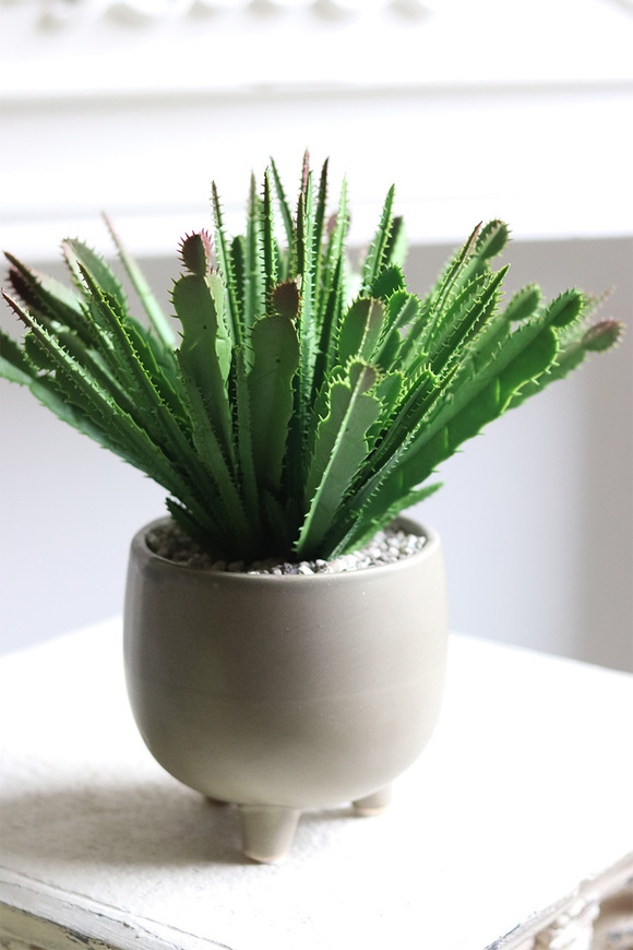 Frey, kaktus sztuczna roślina w doniczce na nóżkach